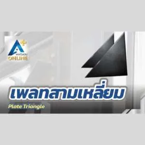 เพลทสามเหลี่ยม (Plate Triangle)