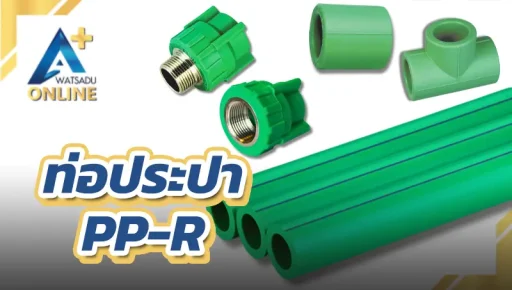 PP-R